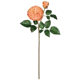 Garden Rose Stem - Peach